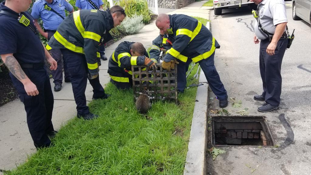 Der Einsatz dauerte zwei Stunden lang.