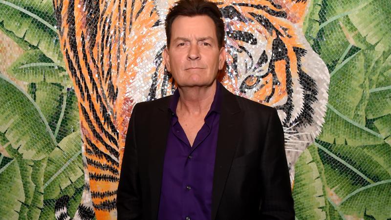 Charlie Sheen Will Kein Alleiniges Sorgerecht