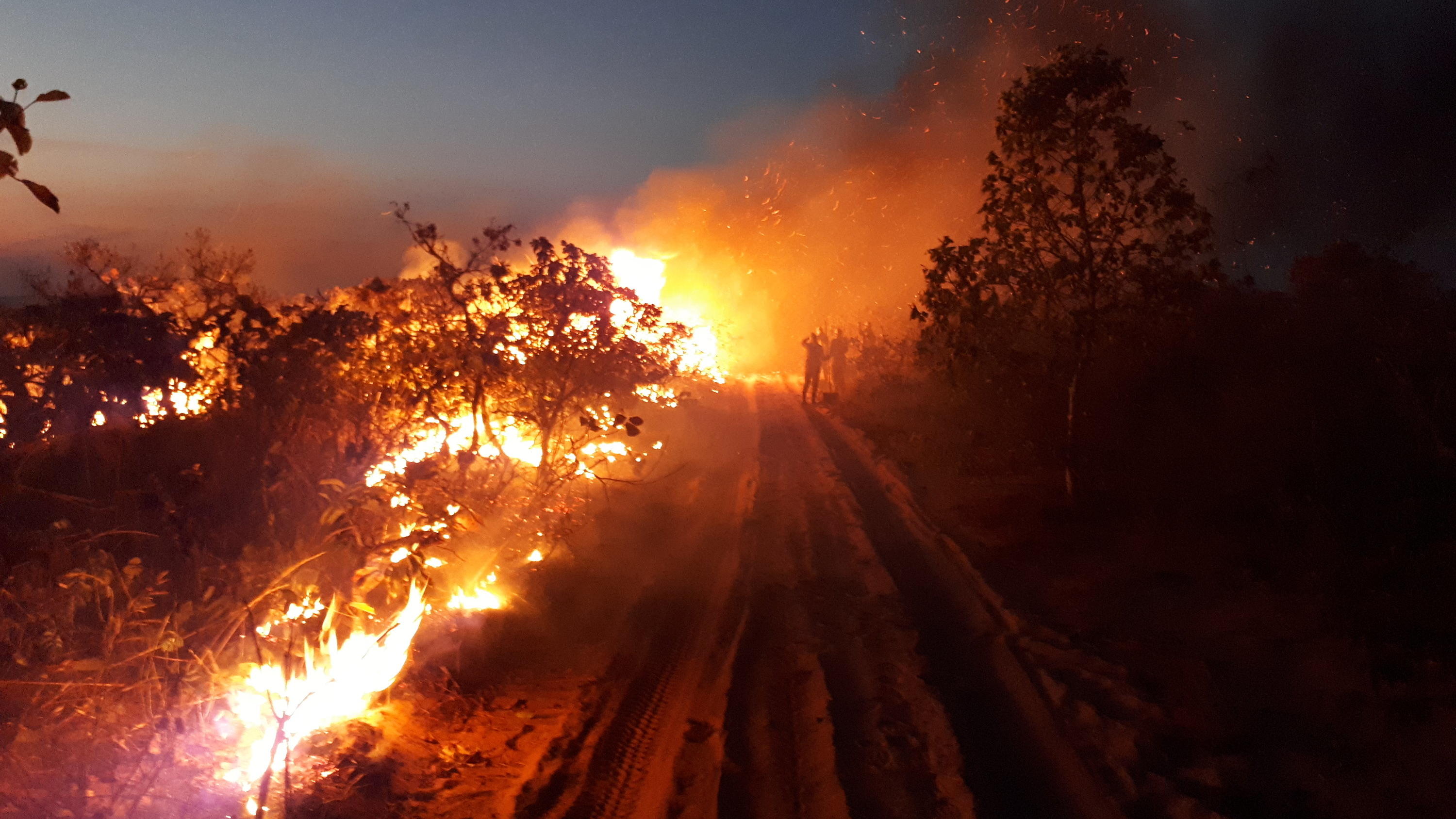 HANDOUT - 14.08.2019, Brasilien, Chapada dos Guimaraes: Auf diesem vom Chico Mendes Institut zum Schutz der Artenvielfalt zur Verfügung gestellten Bild beobachtet eine Gruppe die Flammen bei einem Waldbrand im Naturpark Chapada dos Guimaraes. Seit Wo