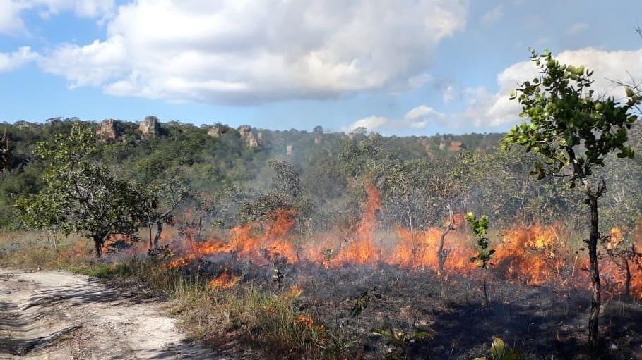 Brasilien, Mato Grosso: Auf diesem von der Feuerwehr zur Verfügung gestellten Bild brennen Flammen auf einem trockenen Feld. In Brasilien wüten die schwersten Waldbrände seit Jahren.