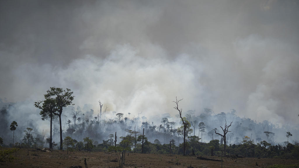 27.08.2019, Brasilien, Altamira: Rauch steigt aus dem Regenwald im Amazonas bei einem Brand. In Brasilien wüten die schwersten Waldbrände seit Jahren. Seit Januar stieg die Zahl der Feuer und Brandrodungen im größten Land Südamerikas im Vergleich zum