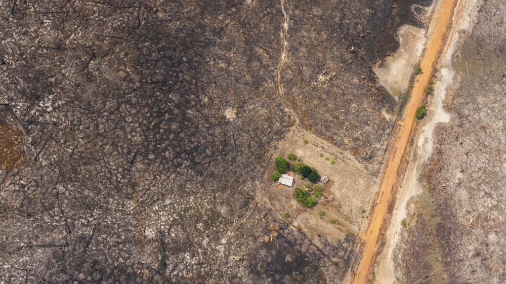 27.08.2019, Brasilien, Vila Nova Samuel: Ein Haus steht inmitten von einem von Waldbränden zerstörten Gebiet. In Südamerika wüten derzeit schwere Waldbrände. Vor allem Brasilien, Venezuela, Bolivien und Kolumbien sind von den Feuern betroffen. Foto: