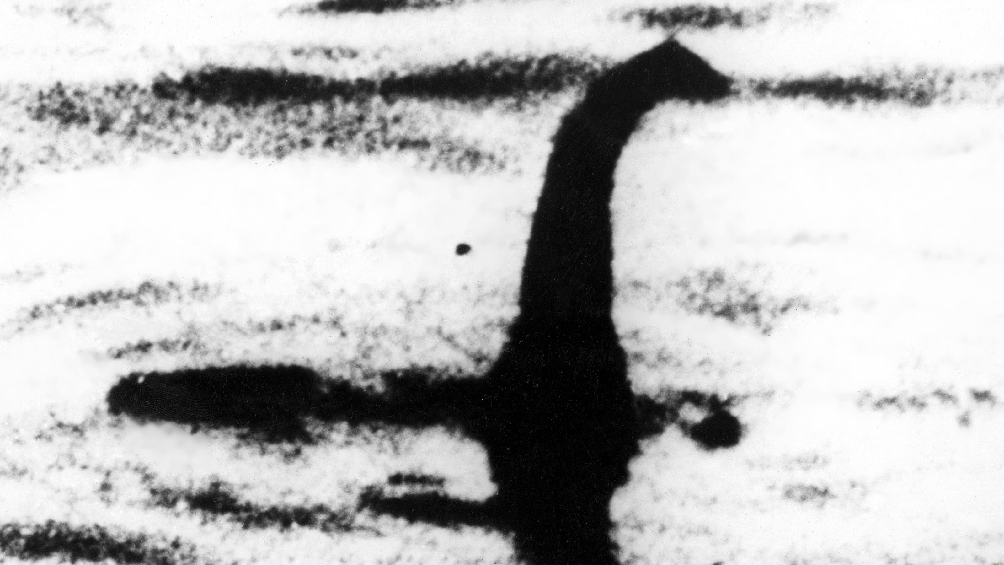 Vermeintliches Ungeheuer von Loch Ness - Nessie.