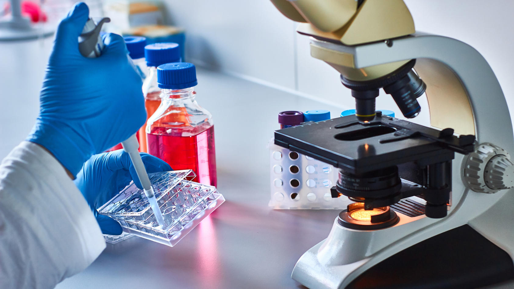 Diese Therapiemethode setzt Stammzellen ein, um andere Zellen zu reparieren
