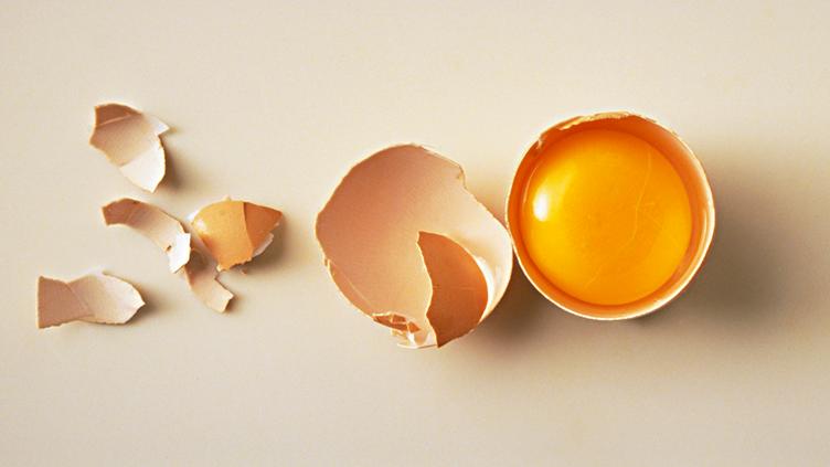 RTL Gesundheitslexikon: Lecithin