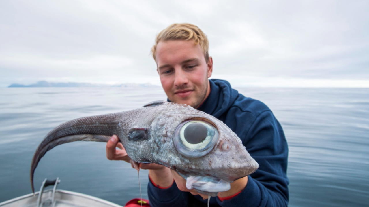 Was ist das denn für ein Viech Angler fängt Fisch mit Riesen Augen