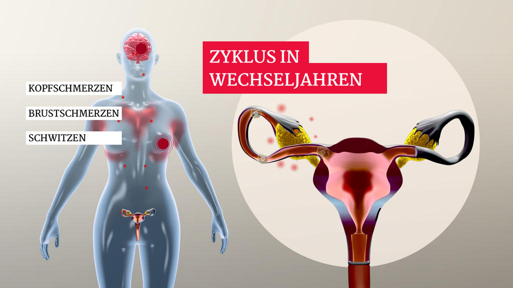 Zyklus einer Frau in den Wechseljahren