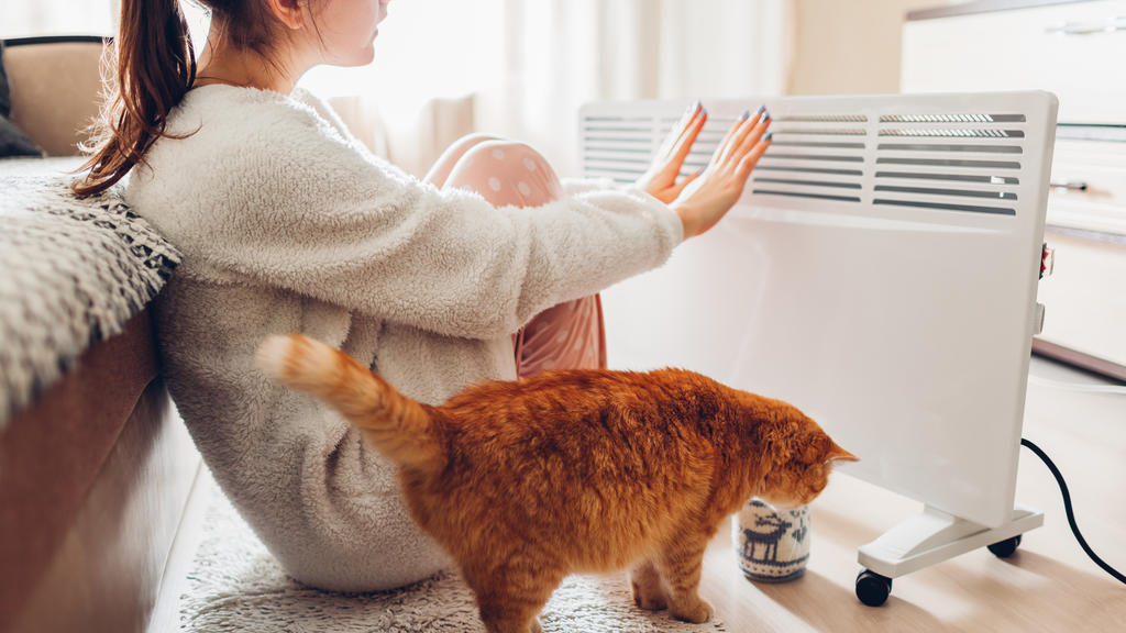 Frau und Katze wärmen sich am Heizkörper