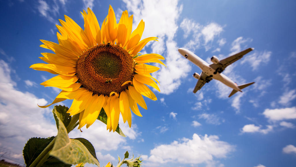 Fliegen wird teurer