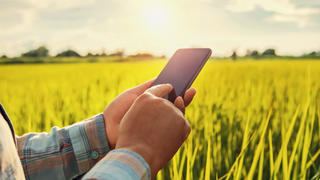 farmer using mobile checking report of agriculture in farm