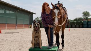 hundkatzemaus: Diana Eichorn mit Quarter Horse Another Nite, genannt Emil, und dem belgischen Schäferhund Nanuk.