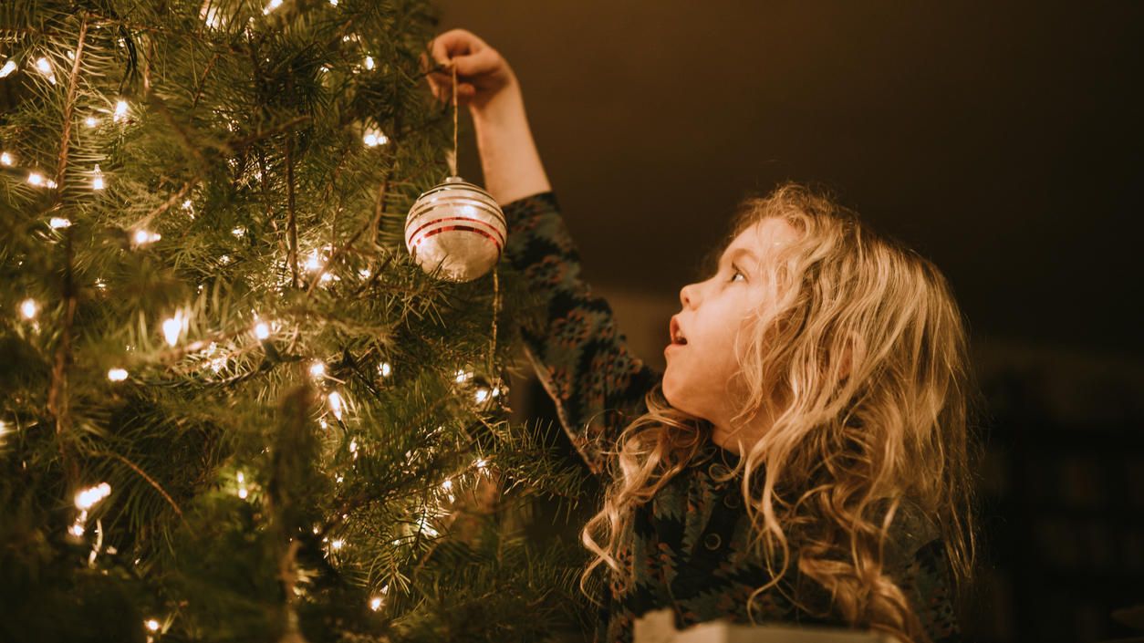 Läuse, Spinnen und Zecken im Weihnachtsbaum: Diese ...