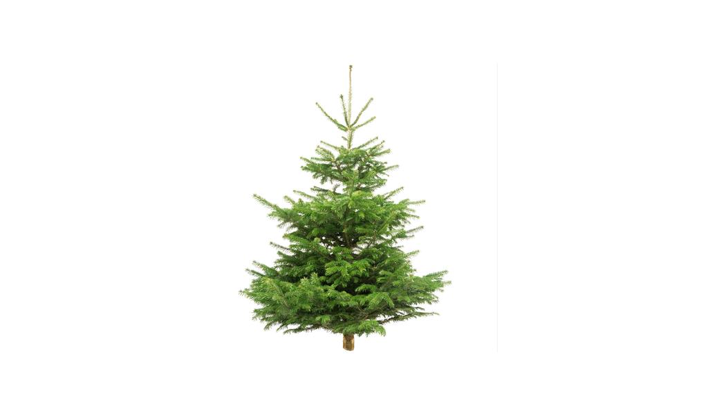 Weihnachtsbaum Kaufen Nordmanntanne Im Internet Bestellen