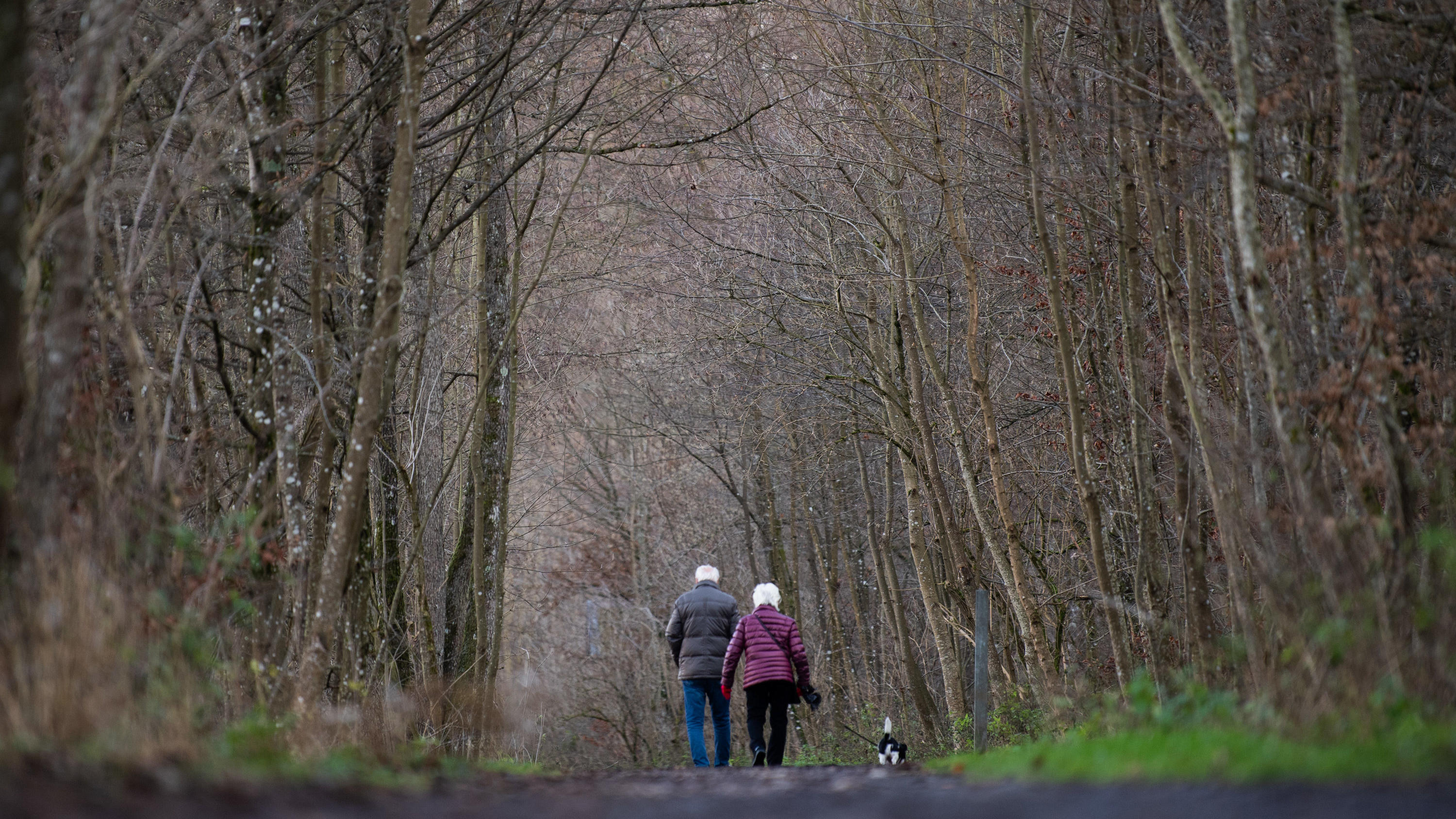 10.12.2019, Baden-Württemberg, Kirchheim unter Teck: Zwei ältere Menschen laufen mit einem Hund auf einem Waldweg. Foto: Tom Weller/dpa +++ dpa-Bildfunk +++
