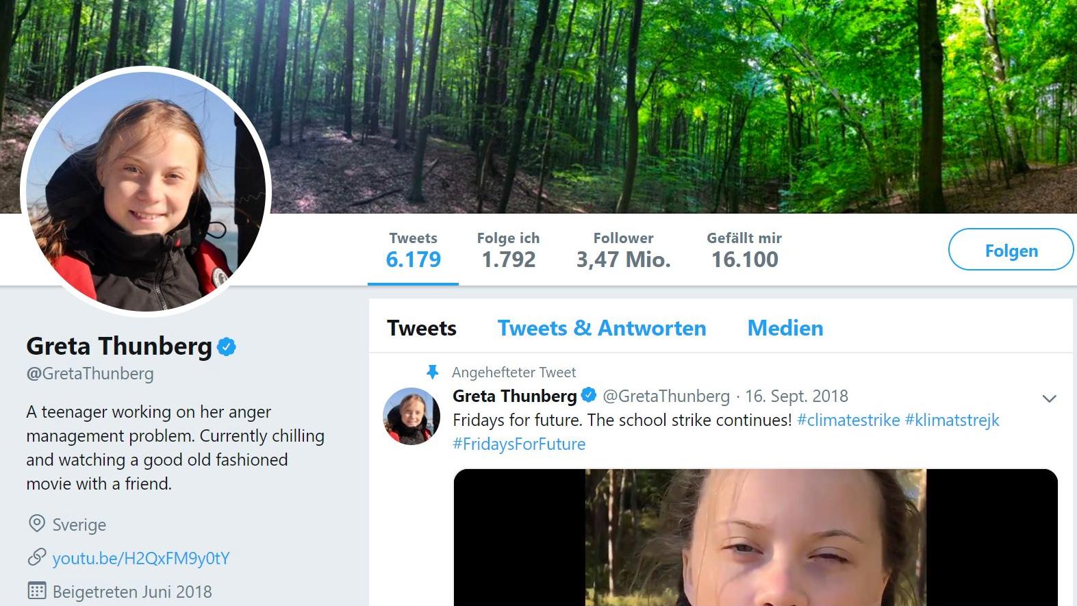 "Teenager, der an seinem Problem mit Aggressionsbewältigung arbeitet" – cooler hätte Greta Thunberg den Trump-Diss kaum kontern können.