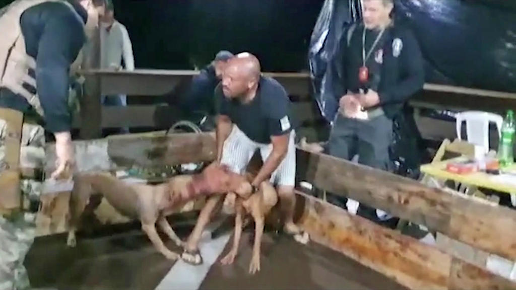 Hundekampf