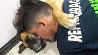 Dass Herrchen von Boxerhündin Magui versucht sie zu beruhigen. Vergebens.