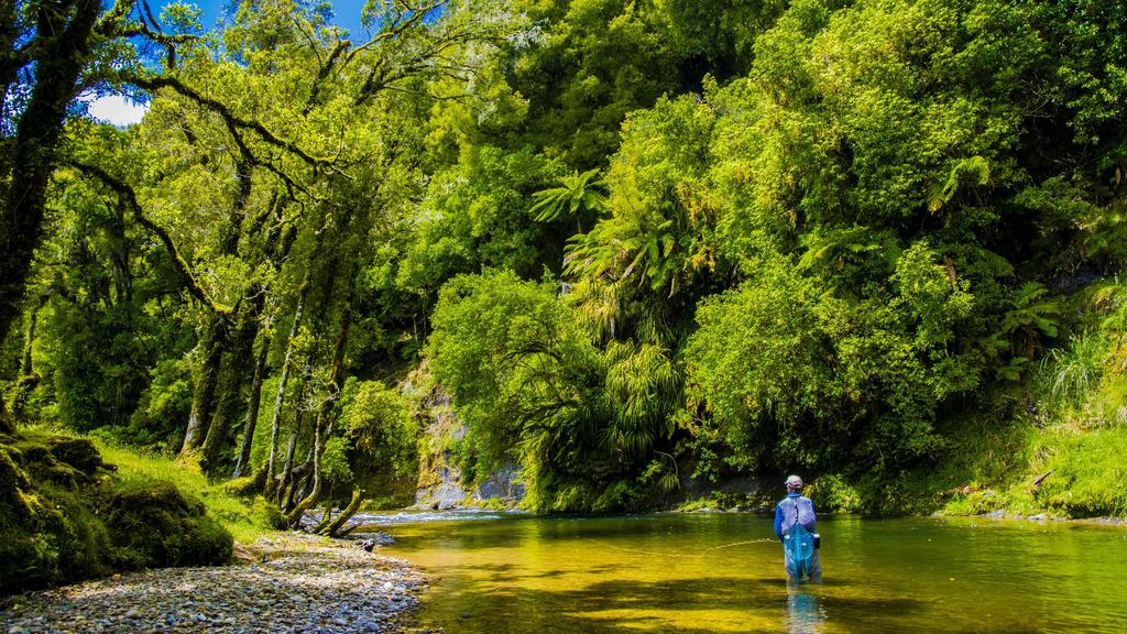 Awakino River in Neuseeland