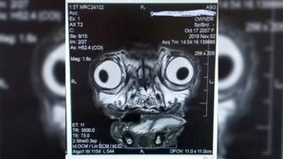Röntgenbild Mops