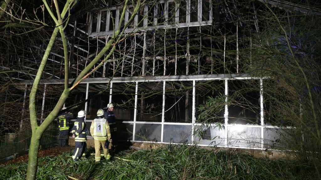 01.01.2020, Nordrhein-Westfalen, Krefeld: Feuerwehrleute stehen nach Löscharbeiten vor dem Affenhaus des Krefelder Zoos. Foto: David Young/dpa +++ dpa-Bildfunk +++