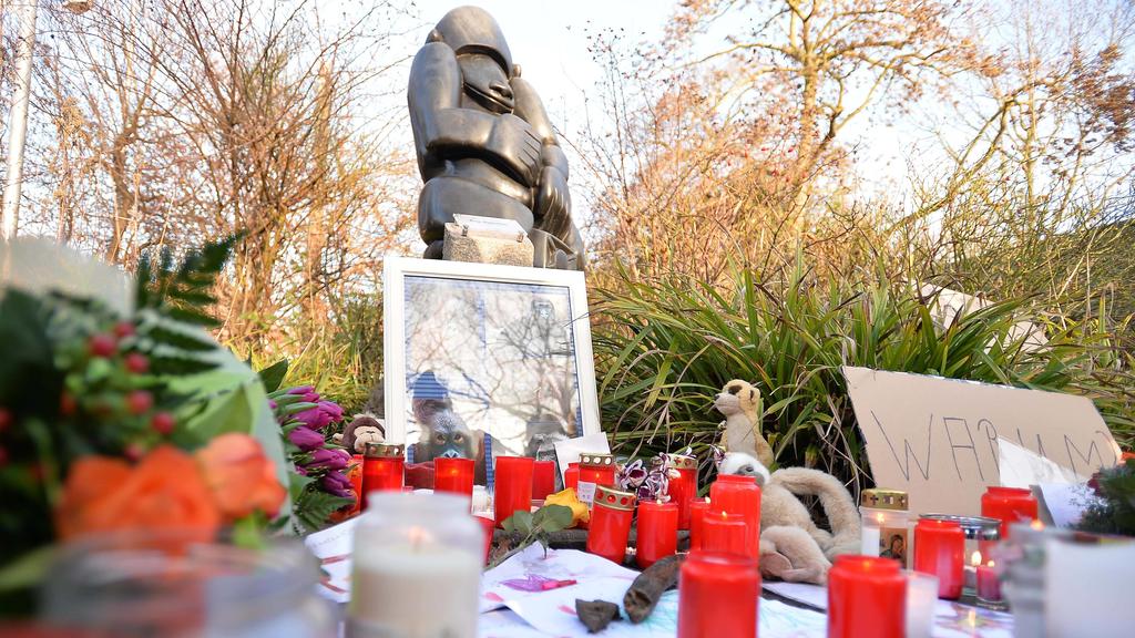 Inferno im Krefelder Zoo am 01.01.2020 in Krefeld Inferno im Krefelder Zoo. Das Affenhaus ist in der Silvesternacht vollständig niedergebrannt. Alle Tiere sind tot. Eine Katastrophe für den Tierpark. Das Affenhaus aber brannte bis auf die Grundmauer