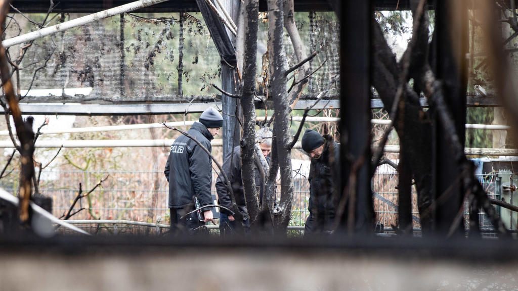 Nach dem Brand im Krefelder Zoo