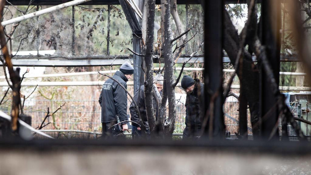 02.01.2020, Nordrhein-Westfalen, Krefeld: Brandermittler der Polizei stehen im abgebrannten Affenhaus des Krefelder Zoos. Nach dem Brand des Affenhauses im Zoo mit vielen toten Tieren gibt es laut Ermittlern Hinweise auf sogenannte chinesische Himmel
