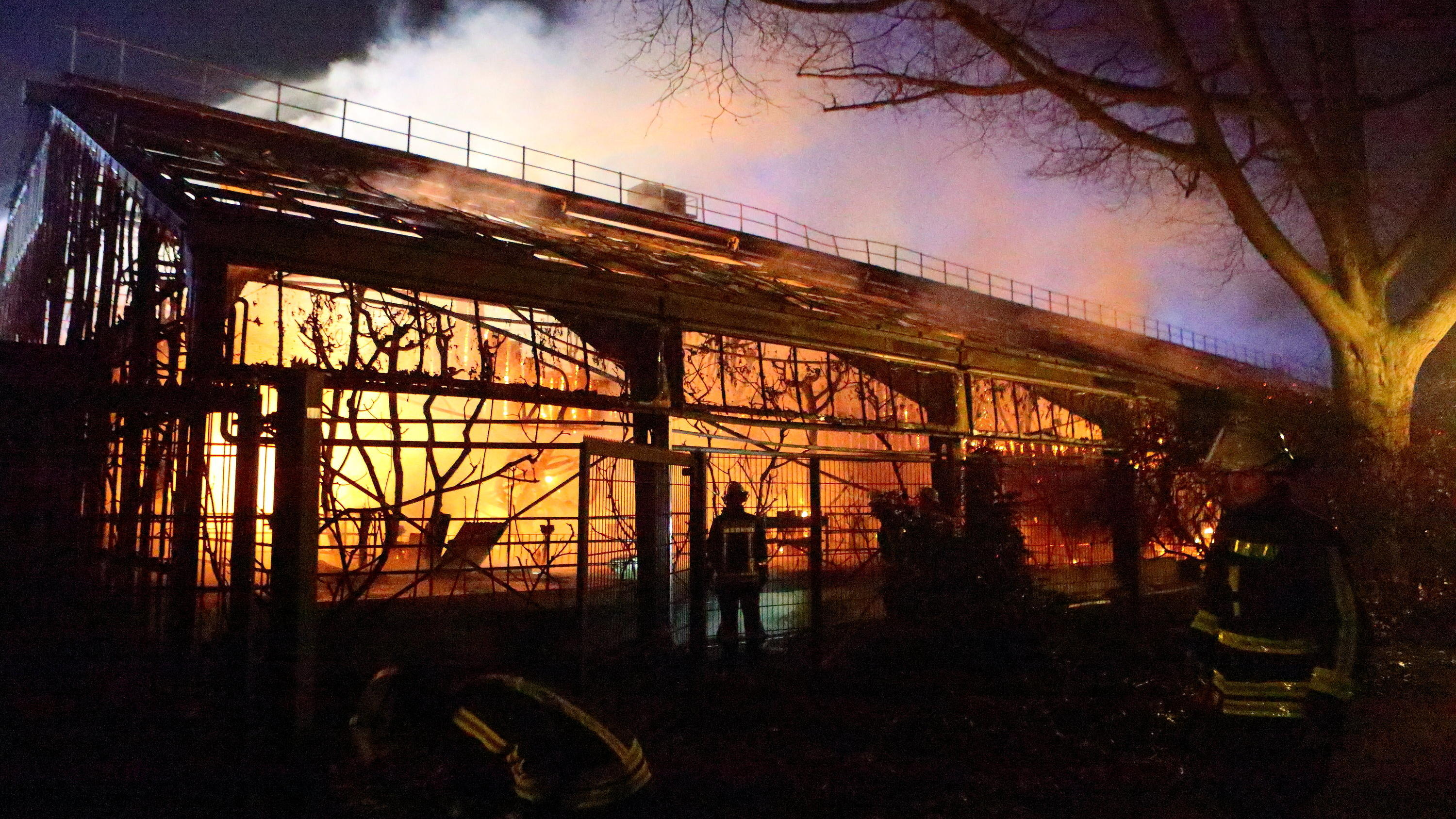01.01.2020, Nordrhein-Westfalen, Krefeld: Feuerwehrleute stehen nach Löscharbeiten vor dem Affenhaus im Krefelder Zoo. Nach dem Brand des Affenhauses im Krefelder Zoo mit vielen toten Tieren gibt es laut Ermittlern Hinweise auf sogenannte chinesische