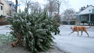 02.01.2020, Hessen, Kassel: Eine Frau führt am frostigen Morgen ihren Hund aus. Im Vordergrund liegt ein ausgedienter Weihnachtsbaum. Die Glanzzeit der prächtig geschmückten Nadelbäume in den Wohnzimmern und auf Weihnachtsmärkten weilt nur kurz. Kaum sind die Festtage vorbei, liegen viele Bäume schmucklos auf der Straße. Foto: Uwe Zucchi/dpa +++ dpa-Bildfunk +++