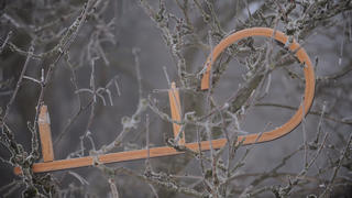 Die Überreste eines Schlittens hängen am Donnerstag (18.12.2008) in einem Baum auf dem Großen Feldberg bei Schmitten im Taunus. Das Wetter zeigt sich von seiner frostigen Seite mit Nebel in den Höhenlagen bei Temperaturen um Null Grad. Foto: Frank May dpa/lhe +++(c) dpa - Report+++ | Verwendung weltweit