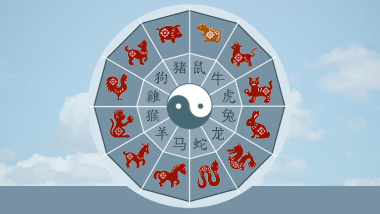 Und frau mann schlange hund chinesisches horoskop Chinesisches Partnerhoroskop: