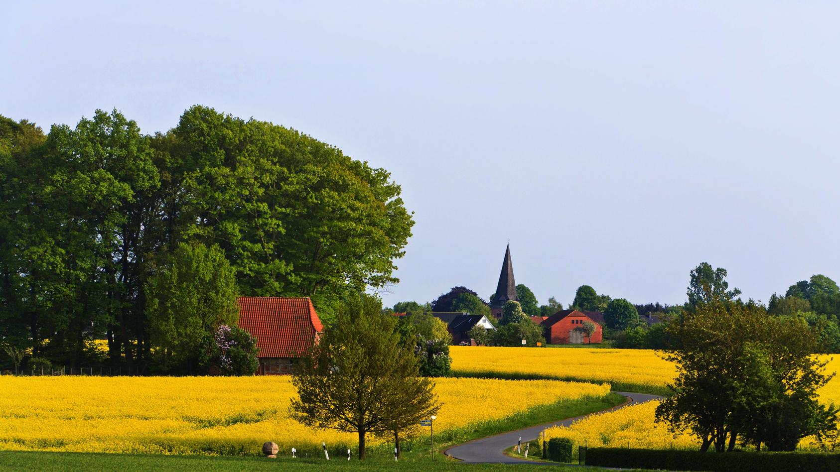 Blühende Landschaften - Dorf in Deutschland