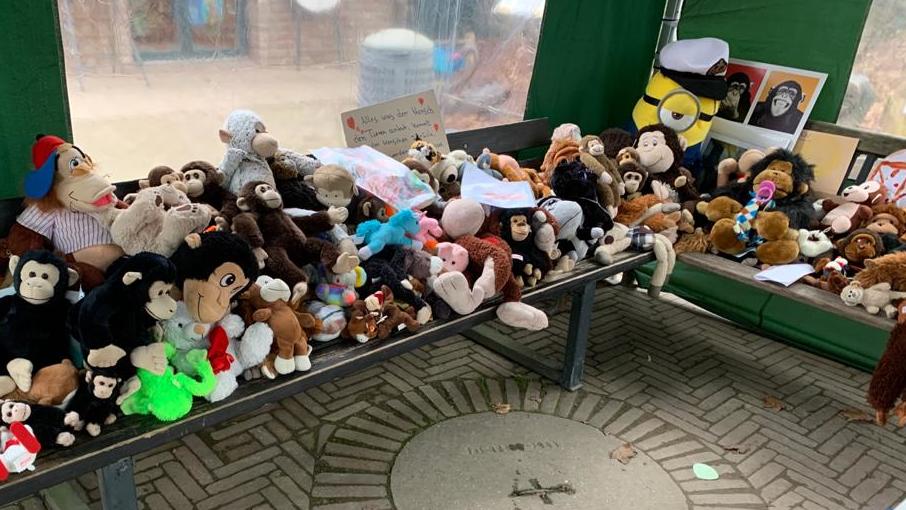 Plüschtiere: Gedenken an Affenhaus-Brand im Krefelder Zoo