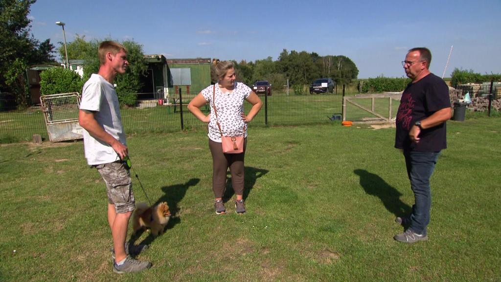Sarafina Wollnys Mann Peter mit Zwergspitz Feivel in der Hundeschule