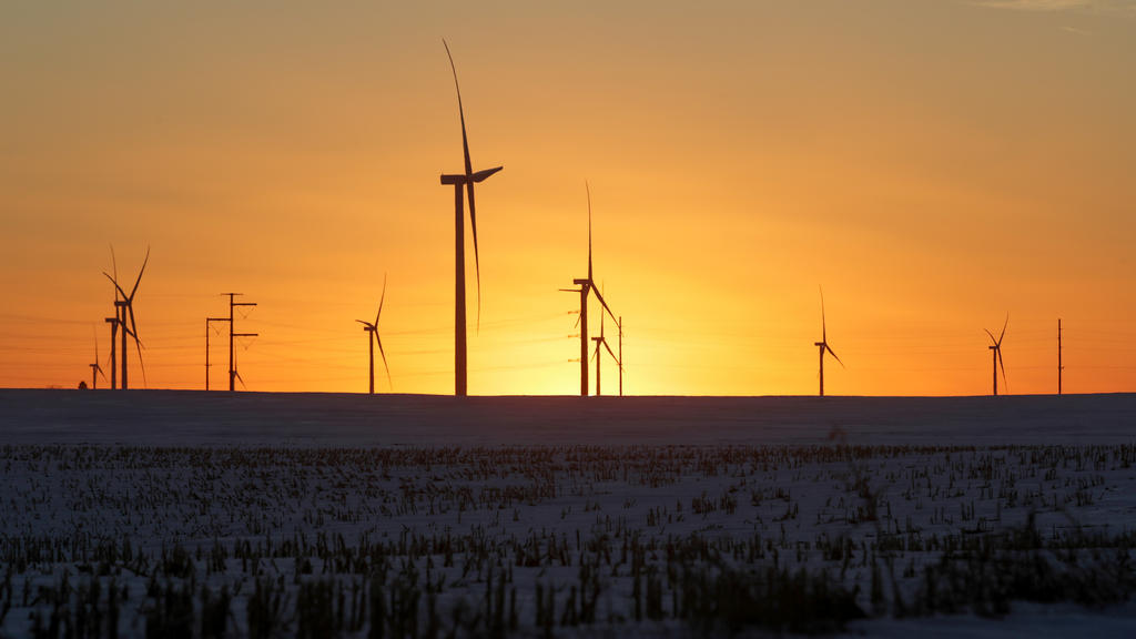 A wind farm shares space with corn fields the day before the Iowa caucuses, where agriculture and clean energy are key issues, in Latimer, Iowa, U.S. February 2, 2020. REUTERS/Jonathan Ernst