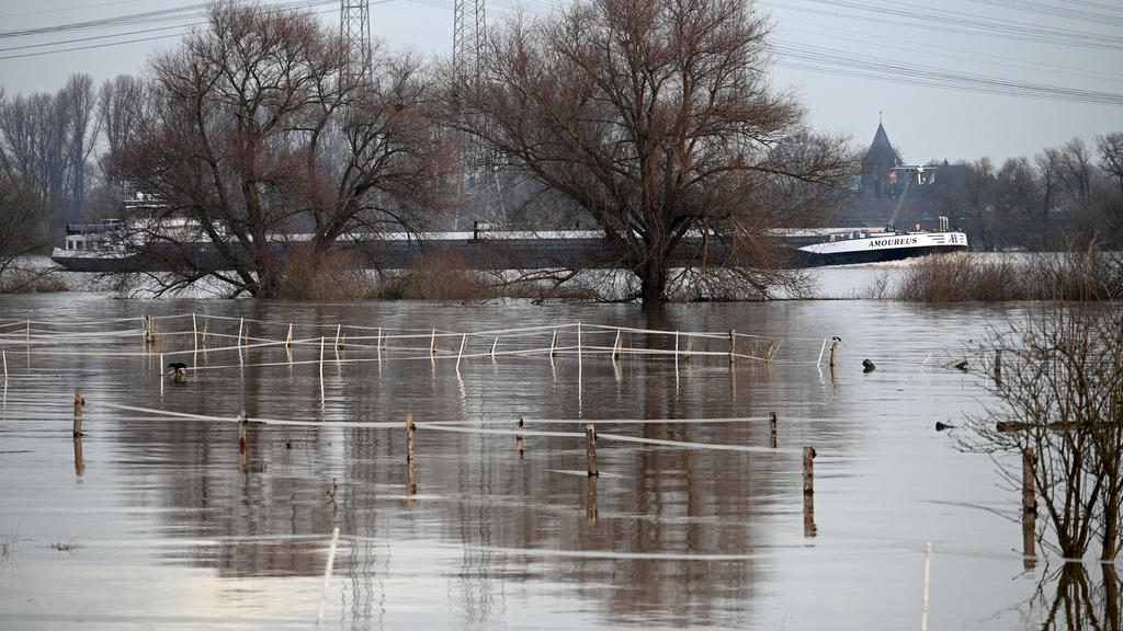 06.02.2020, Nordrhein-Westfalen, Köln: Der Rhein führt Hochwasser, die Wiesen bei Köln-Kasselberg sind überflutet. Foto: Henning Kaiser/dpa +++ dpa-Bildfunk +++