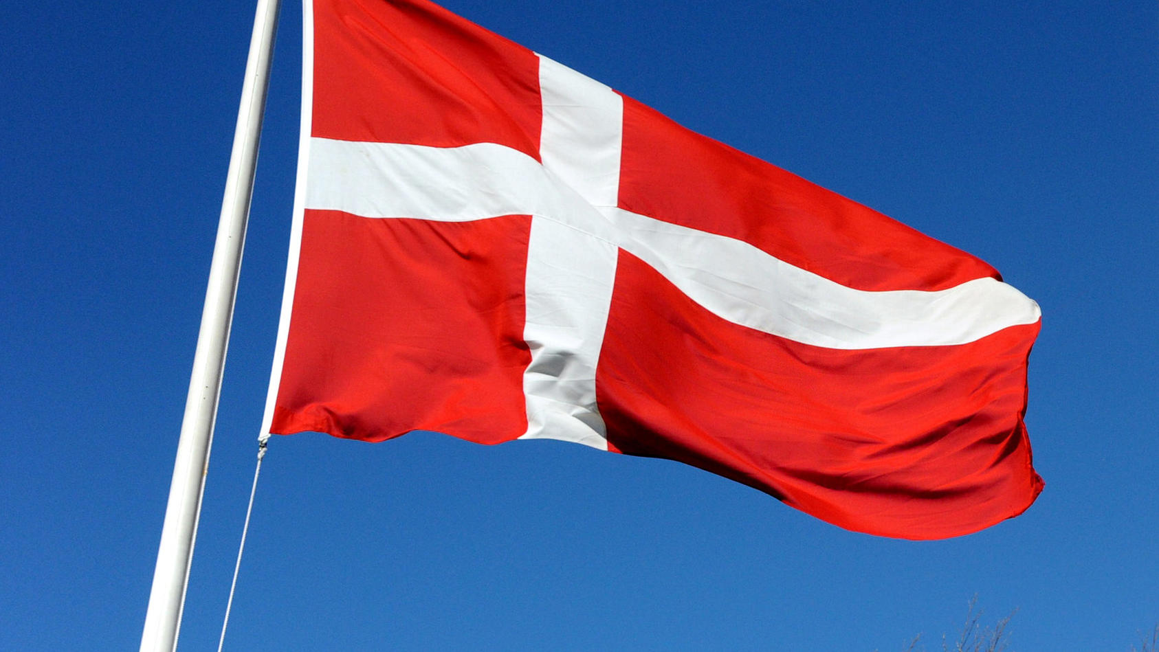 Dänische und deutsche Flagge