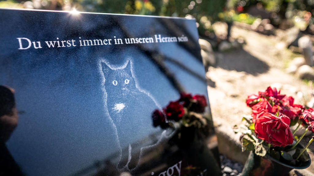 21.03.2019, Hessen, Bad Homburg: "Du wirst immer in unserem Herzen sein" steht auf einem Grabstein für eine Katze auf dem Gelände des Vereins "Tierfriedhof Bad Homburg e.V.". Rund 600 Gräber für Hunde und Katzen gibt es auf der Anlage am Rande der St