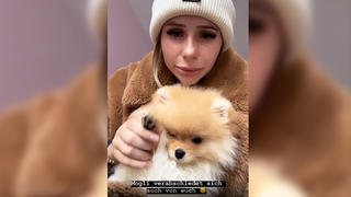 Carina Spack weint bittere Tränen: Sie muss Hund Mogli wieder abgeben.