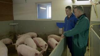 jenke-experiment-fleisch-vs-vegan-so-hat-sich-jenkes-koerper-nach-4-wochen-veraendert