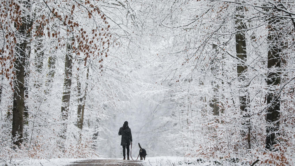 27.02.2020, Baden-Württemberg, Wolfschlugen: Ein Mann läuft mit seinem Hund durch einen verschneiten Wald. Foto: Christoph Schmidt/dpa +++ dpa-Bildfunk +++