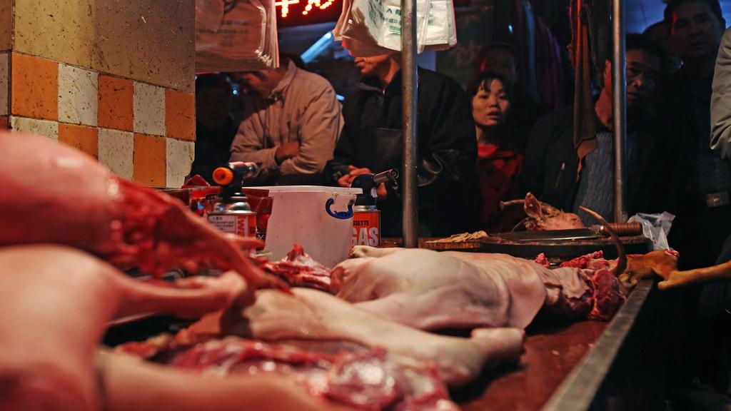 Hunde und Katzen dürfen in der chinesischen Metropole Shenzhen nicht mehr verzehrt werden.