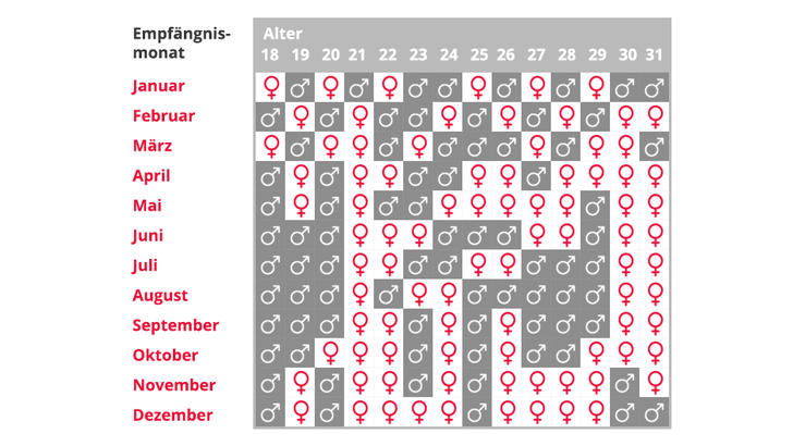 Mädchen Oder Junge? Ein Kalender Für 2025 Und Die Faszination Der 