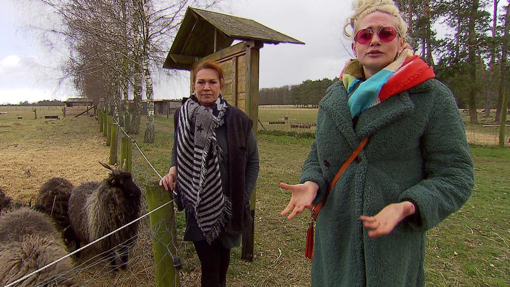Sarah Knappik hilft einem Tierpark