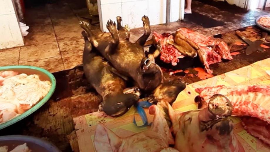 Wildtiermarkt