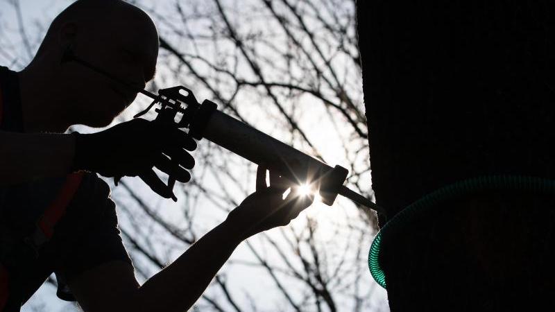 Partnersuche salzwedel