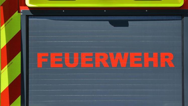 Partnersuche mainz-bingen