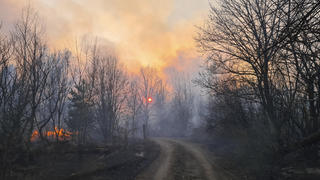 05.04.2020, Ukraine, Tschernobyl: Rauchschwaden steigen von einem Waldbrand in der radioaktiv belasteten Sperrzone um das Kernkraftwerk Tschernobyl auf. (zu dpa "Gefährlicher Löscheinsatz in den verstrahlten Wäldern von Tschernobyl") Foto: Yaroslav Yemelianenko/AP/dpa +++ dpa-Bildfunk +++