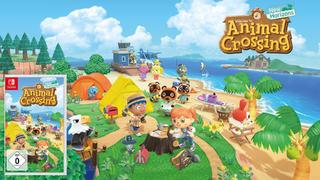 Animal Crossing New Horizons