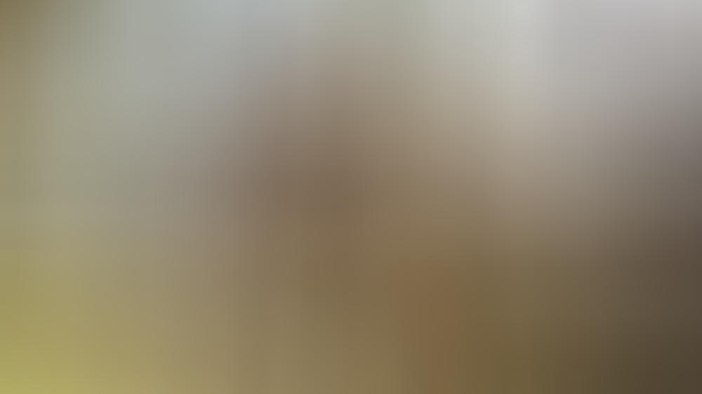 Begnadigung für Joe Exotic? Das sagt ein US-Anwalt dazu